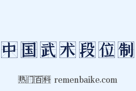 中国武术段位制是什么意思的图片